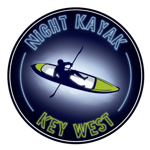 Night Kayak